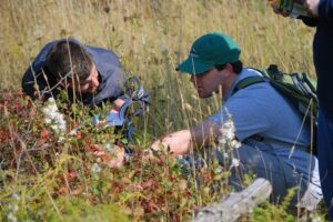 Students conducting field research