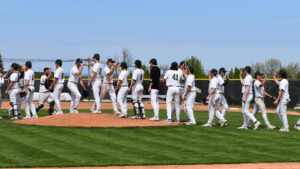 Baseball celebration