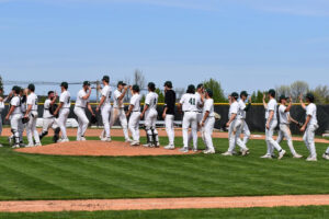 Baseball celebration