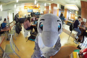 Iggy enjoying coffee