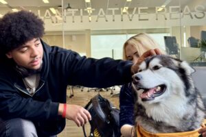 Pet therapy at the library is a favorite activity